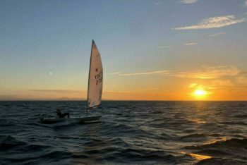 Training unter Delfinen
